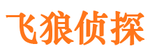 揭东市调查公司